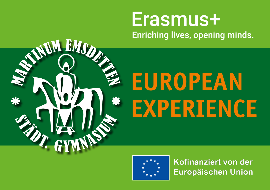 ErasmusFlagge